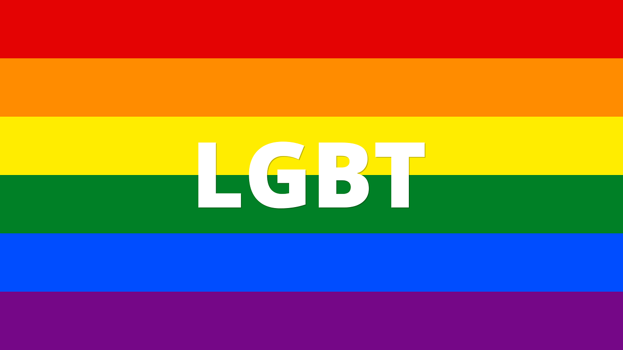 Conociendo gente LGBT: Guía para conocer a alguien especial